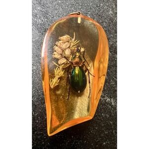 Amber Colored Resin Pendant With Fiery Search Ground Beetle & Flower 2.5"